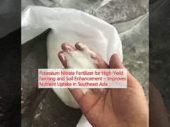 Fertilizante de nitrato de potássio para agricultura de alto rendimento e melhoria do solo ¢ Melhora a absorção de nutrientes no sudeste da Ásia